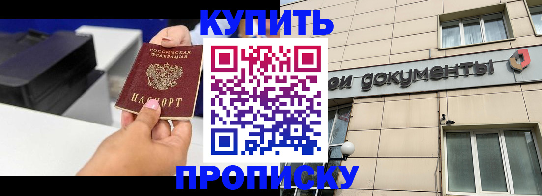 прописка паспорт в Дмитрове